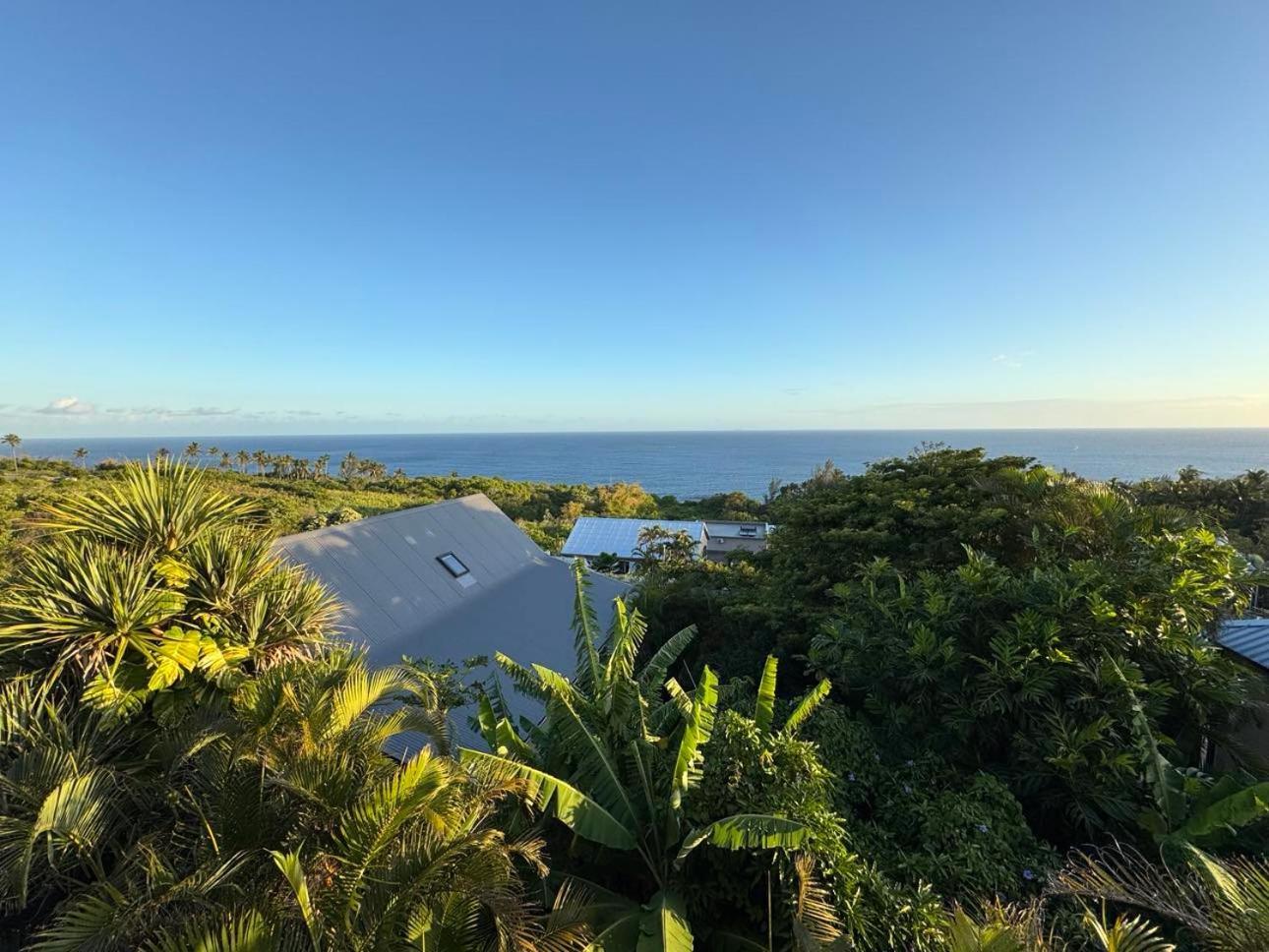 Vincendo Grande Villa Au Calme - Vue Exceptionnelle - Climatisation - Piscine Sel Chauffee - Jardin Tropical מראה חיצוני תמונה